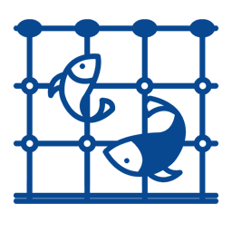 Afficher les articles de la catégorie Filets maillants | prêt-à-pêcher Images de la catégorie Filets maillants | prêt-à-pêcher