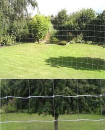Show details for Cat protection net | Nylon (PA) | width 3m Picture of Cat protection net | Nylon (PA) | width 3m
