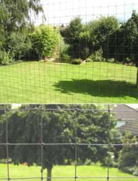Afficher les détails pour Filet de protection pour chat et contre des pigeons | Polyester (PES) | largeur 2,50m Image de Filet de protection pour chat et contre des pigeons | Polyester (PES) | largeur 2,50m