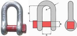 Show details for Trawl shackle | WLL 2,0t | red pin | D-type Picture of Trawl shackle | WLL 2,0t | red pin | D-type