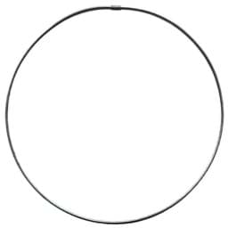 Afficher les détails pour Anneau de verveux | rond | diamètre 70 cm | AISI 304 Image de Anneau de verveux | rond | diamètre 70 cm | AISI 304