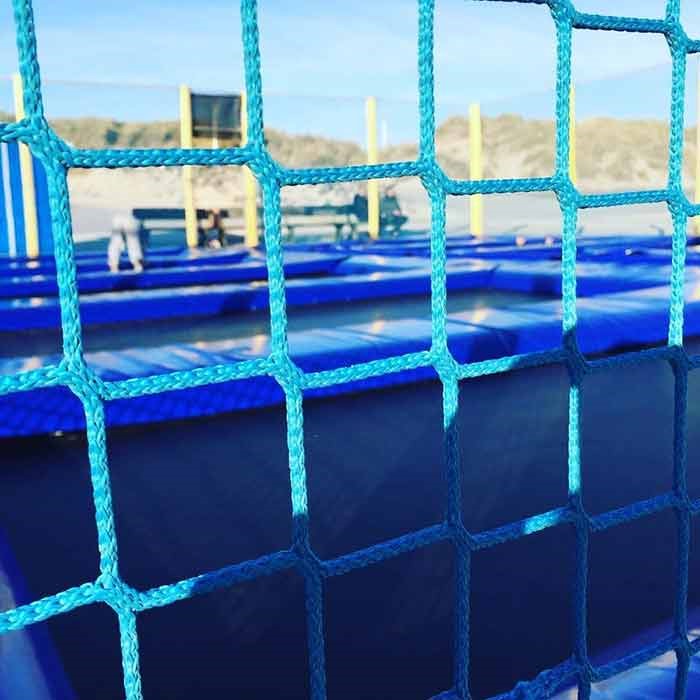 Picture for category Nets